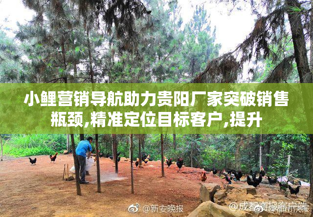 小鲤营销导航助力贵阳厂家突破销售瓶颈,精准定位目标客户,提升