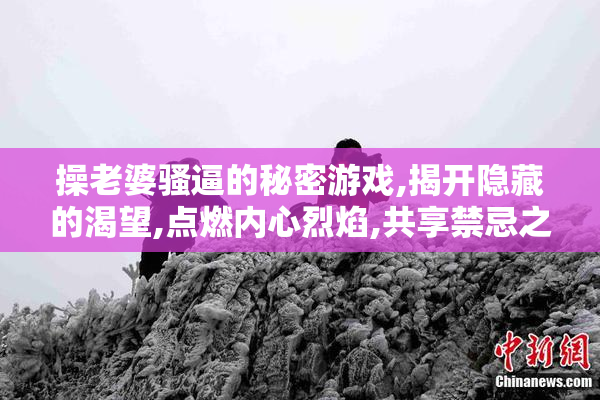 操老婆骚逼的秘密游戏,揭开隐藏的渴望,点燃内心烈焰,共享禁忌之乐