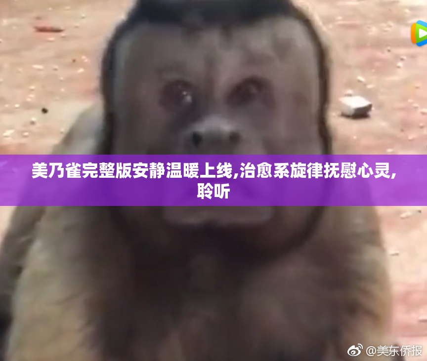 美乃雀完整版安静温暖上线,治愈系旋律抚慰心灵,聆听