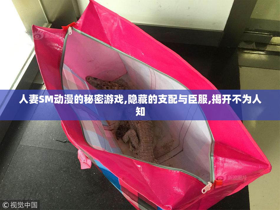 人妻SM动漫的秘密游戏,隐藏的支配与臣服,揭开不为人知