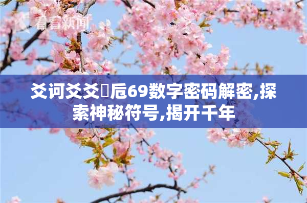 爻诃爻爻賰卮69数字密码解密,探索神秘符号,揭开千年