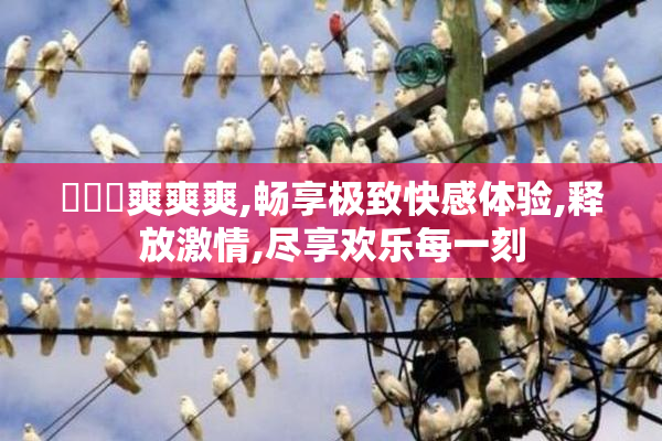 乂乂乂爽爽爽,畅享极致快感体验,释放激情,尽享欢乐每一刻