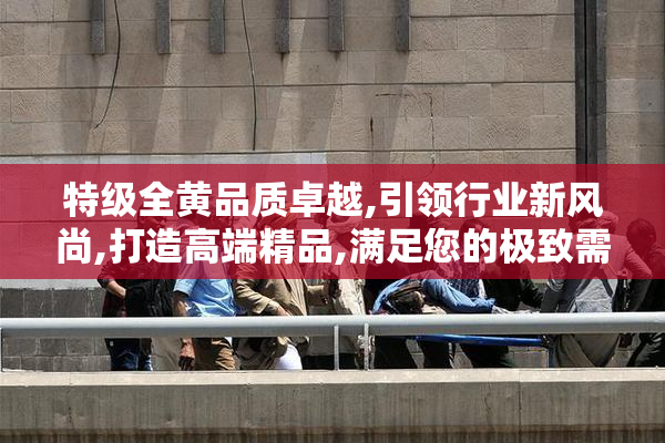 特级全黄品质卓越,引领行业新风尚,打造高端精品,满足您的极致需求