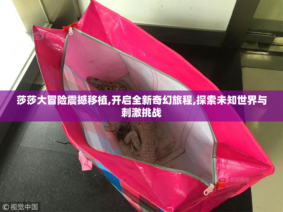莎莎大冒险震撼移植,开启全新奇幻旅程,探索未知世界与刺激挑战