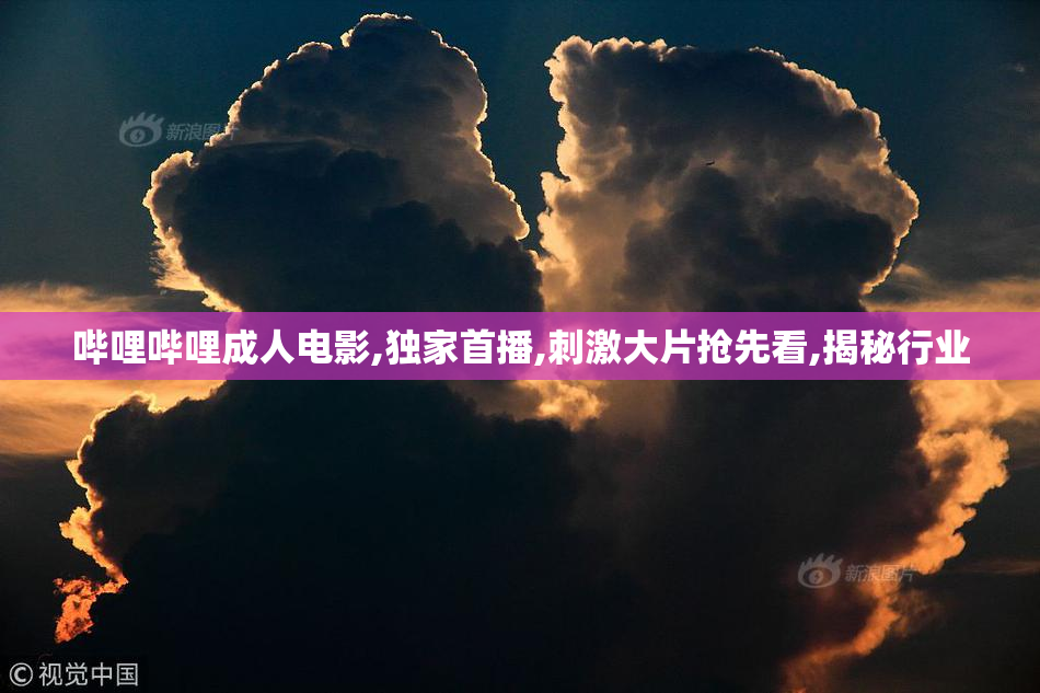 哔哩哔哩成人电影,独家首播,刺激大片抢先看,揭秘行业