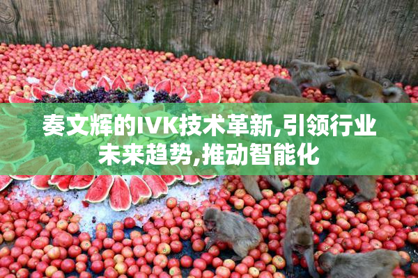 奏文辉的IVK技术革新,引领行业未来趋势,推动智能化