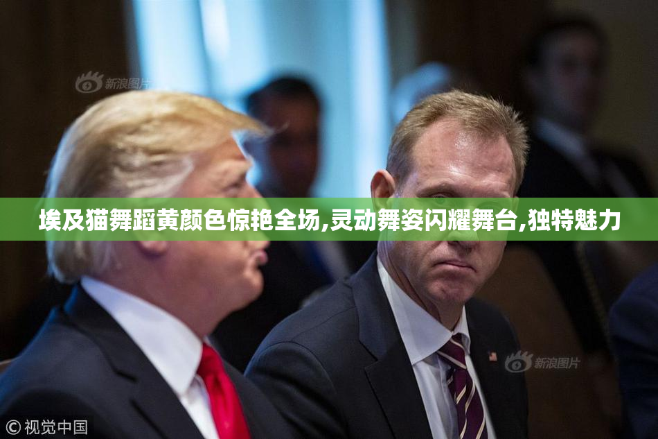 埃及猫舞蹈黄颜色惊艳全场,灵动舞姿闪耀舞台,独特魅力