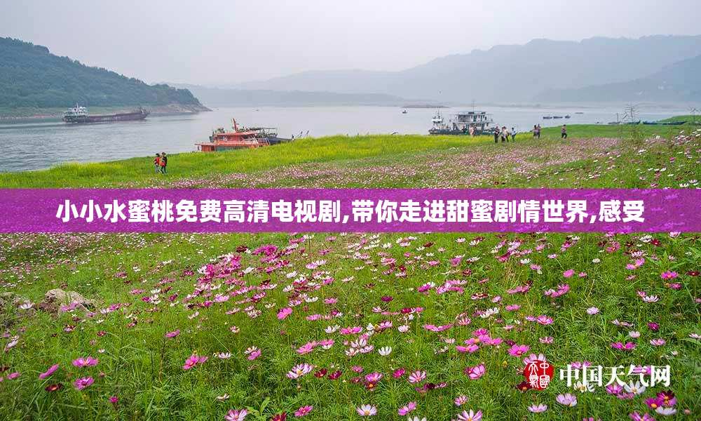 小小水蜜桃免费高清电视剧,带你走进甜蜜剧情世界,感受