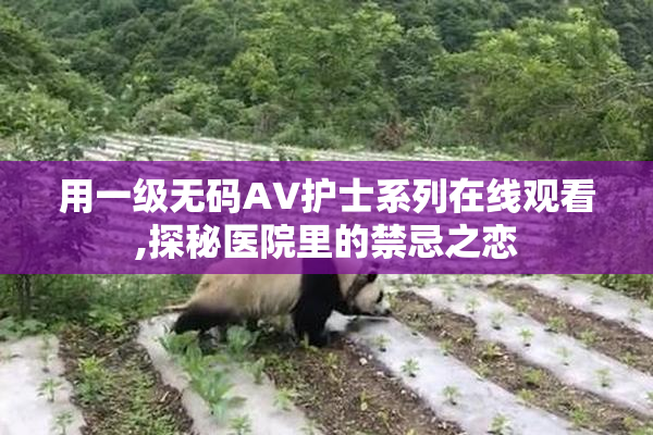 用一级无码AV护士系列在线观看,探秘医院里的禁忌之恋