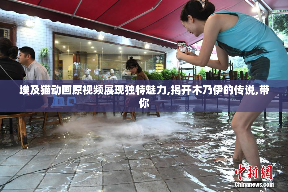 埃及猫动画原视频展现独特魅力,揭开木乃伊的传说,带你