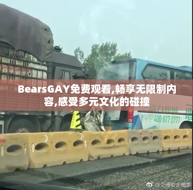 BearsGAY免费观看,畅享无限制内容,感受多元文化的碰撞