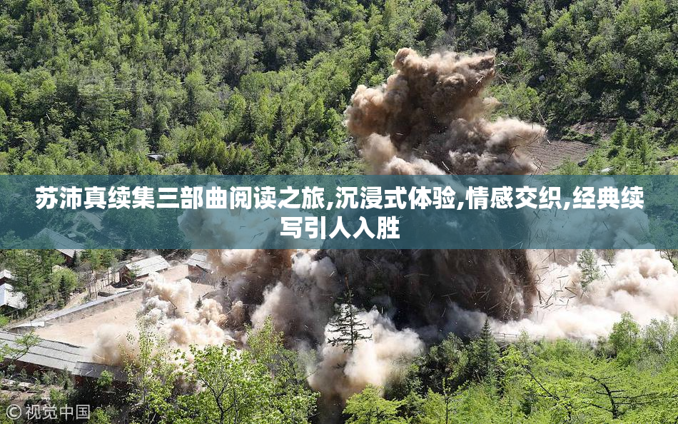 苏沛真续集三部曲阅读之旅,沉浸式体验,情感交织,经典续写引人入胜