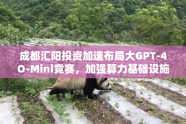 成都汇阳投资加速布局大GPT-4O-Mini竞赛，加强算力基础设施投入