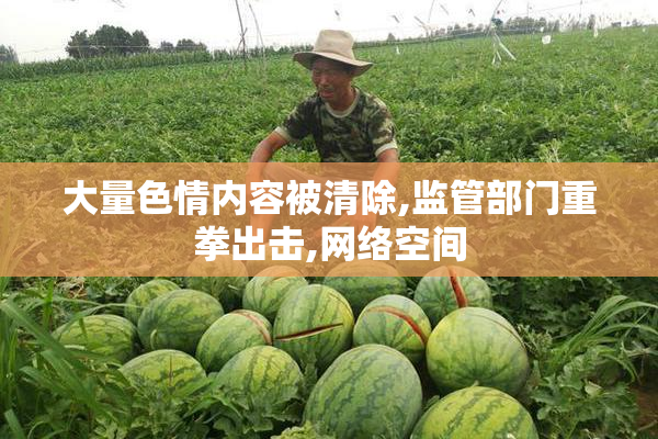 大量色情内容被清除,监管部门重拳出击,网络空间