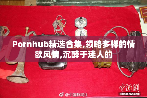 Pornhub精选合集,领略多样的情欲风情,沉醉于迷人的