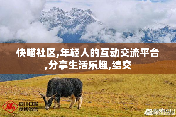 快喵社区,年轻人的互动交流平台,分享生活乐趣,结交