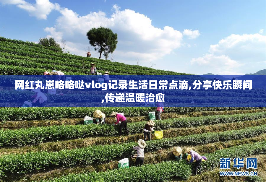 网红丸崽咯咯哒vlog记录生活日常点滴,分享快乐瞬间,传递温暖治愈