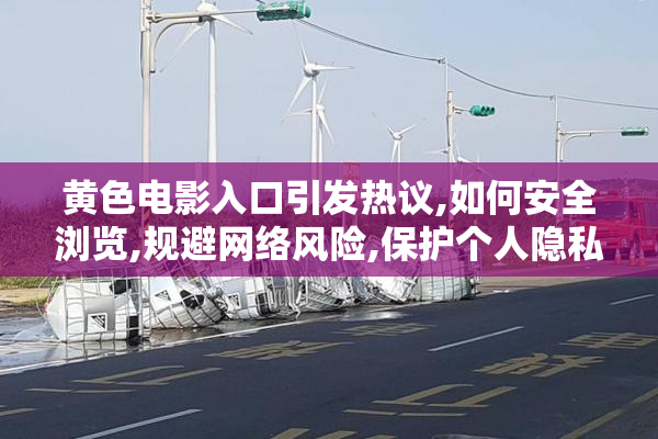 黄色电影入口引发热议,如何安全浏览,规避网络风险,保护个人隐私