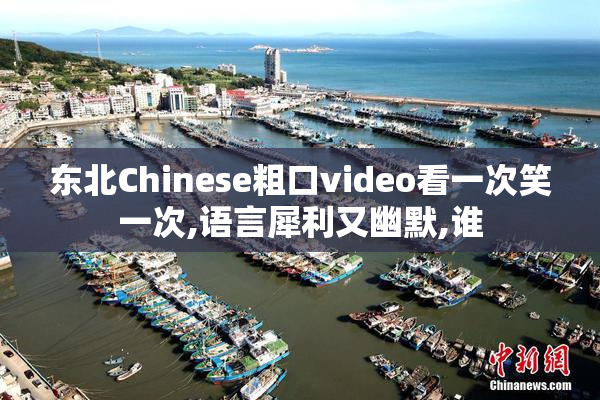 东北Chinese粗口video看一次笑一次,语言犀利又幽默,谁