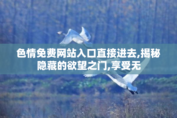 色情免费网站入口直接进去,揭秘隐藏的欲望之门,享受无