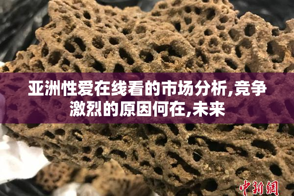 亚洲性爱在线看的市场分析,竞争激烈的原因何在,未来
