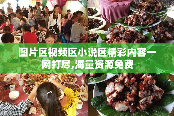图片区视频区小说区精彩内容一网打尽,海量资源免费