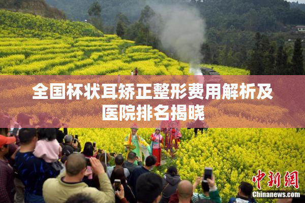 全国杯状耳矫正整形费用解析及医院排名揭晓