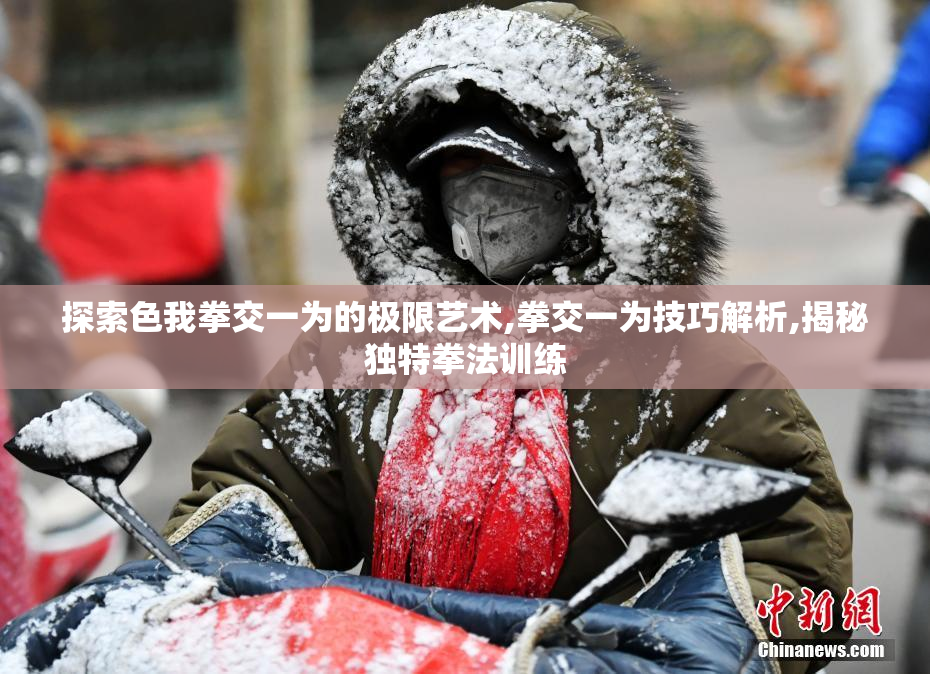 探索色我拳交一为的极限艺术,拳交一为技巧解析,揭秘独特拳法训练
