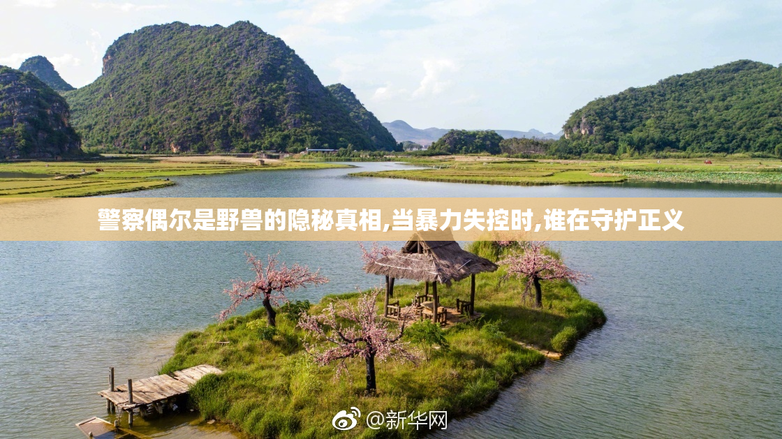 警察偶尔是野兽的隐秘真相,当暴力失控时,谁在守护正义