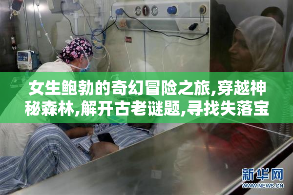 女生鲍勃的奇幻冒险之旅,穿越神秘森林,解开古老谜题,寻找失落宝藏