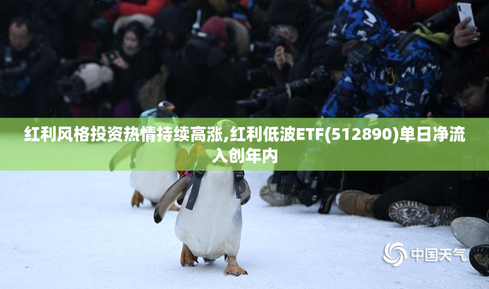 红利风格投资热情持续高涨,红利低波ETF(512890)单日净流入创年内