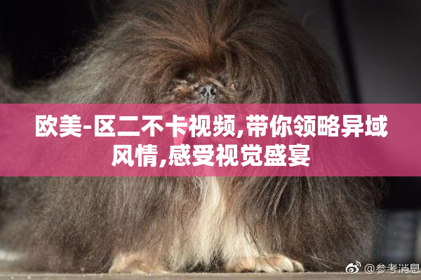 欧美-区二不卡视频,带你领略异域风情,感受视觉盛宴