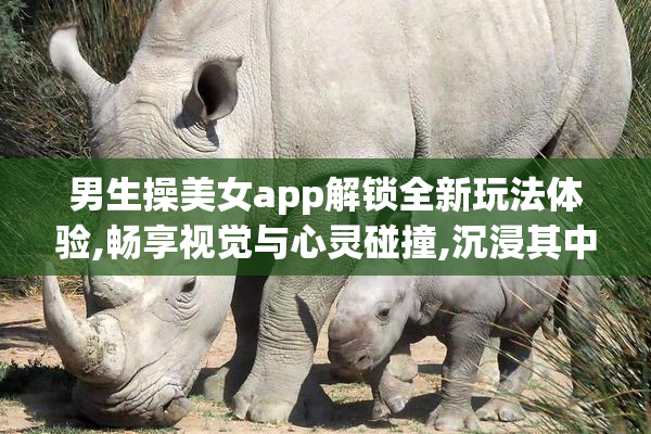 男生操美女app解锁全新玩法体验,畅享视觉与心灵碰撞,沉浸其中