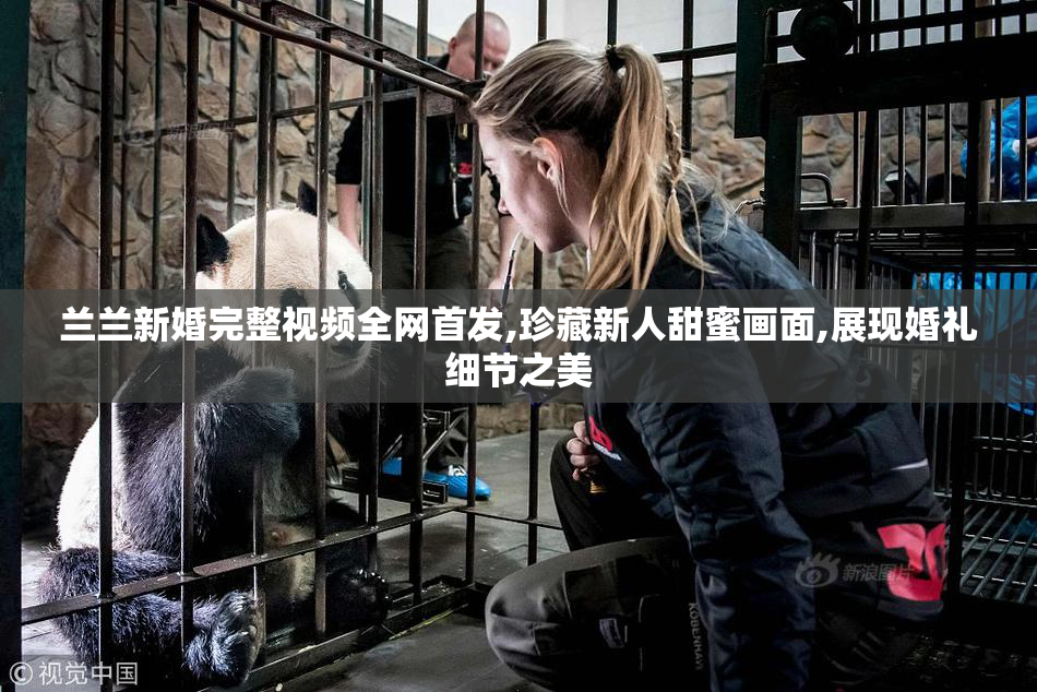 兰兰新婚完整视频全网首发,珍藏新人甜蜜画面,展现婚礼细节之美