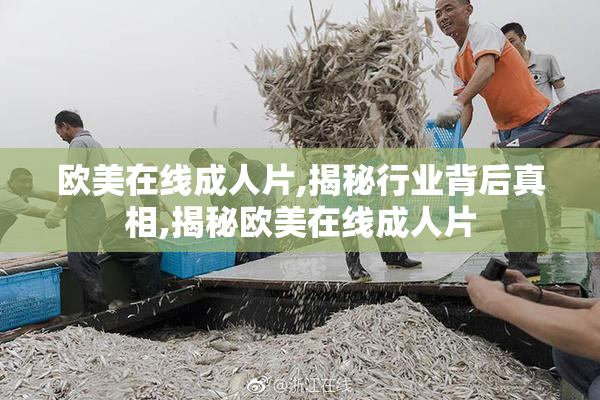 欧美在线成人片,揭秘行业背后真相,揭秘欧美在线成人片