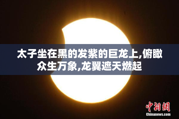太子坐在黑的发紫的巨龙上,俯瞰众生万象,龙翼遮天燃起
