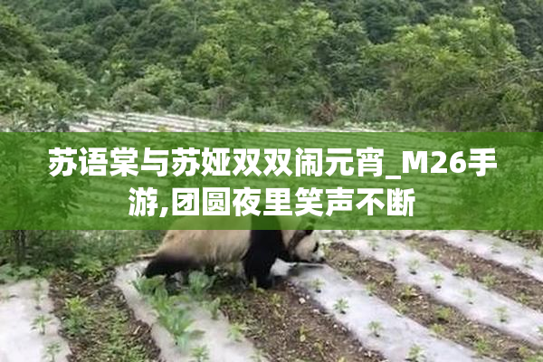 苏语棠与苏娅双双闹元宵_M26手游,团圆夜里笑声不断