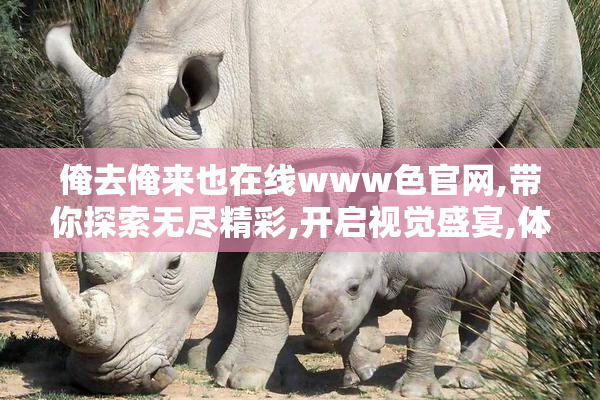 俺去俺来也在线www色官网,带你探索无尽精彩,开启视觉盛宴,体验