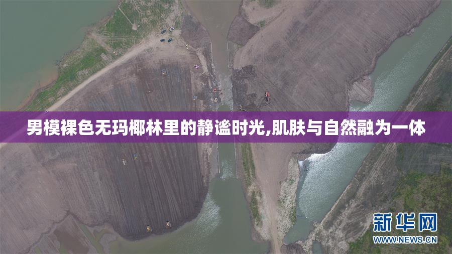 男模裸色无玛椰林里的静谧时光,肌肤与自然融为一体