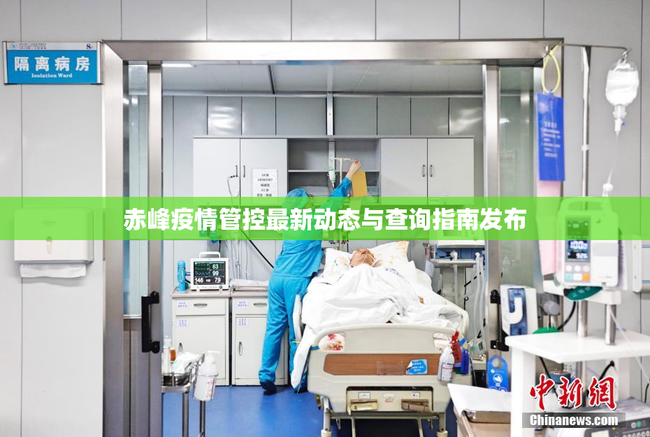 赤峰疫情管控最新动态与查询指南发布