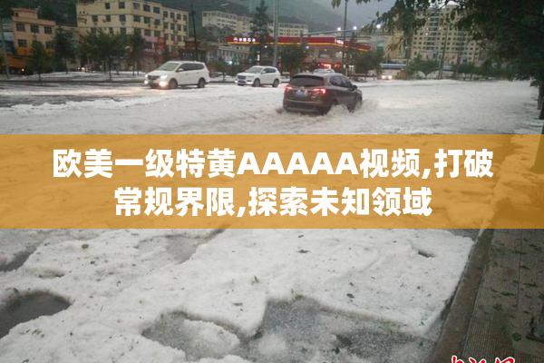 欧美一级特黄AAAAA视频,打破常规界限,探索未知领域