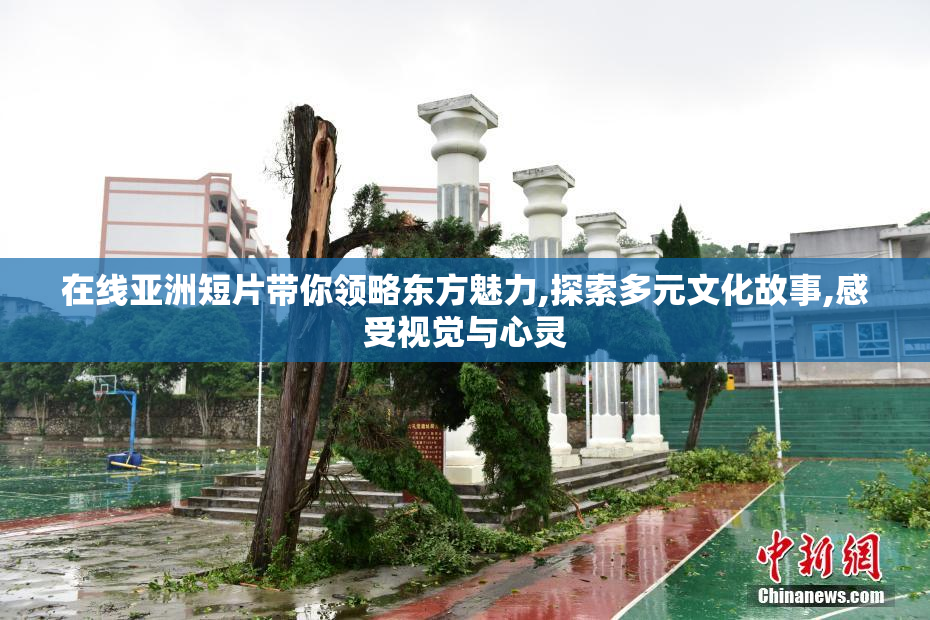 在线亚洲短片带你领略东方魅力,探索多元文化故事,感受视觉与心灵