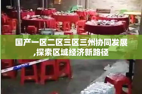 国产一区二区三区三州协同发展,探索区域经济新路径