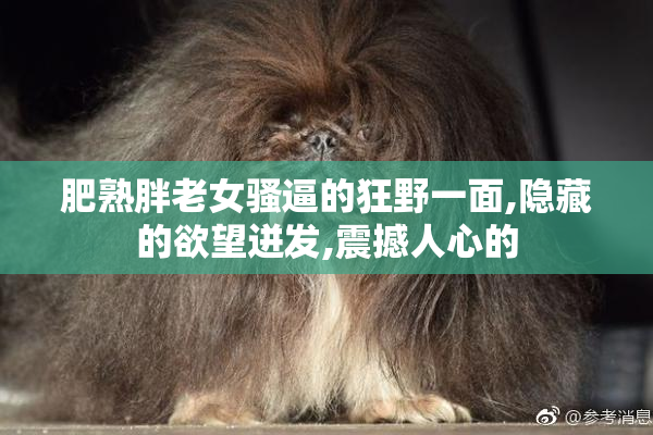 肥熟胖老女骚逼的狂野一面,隐藏的欲望迸发,震撼人心的