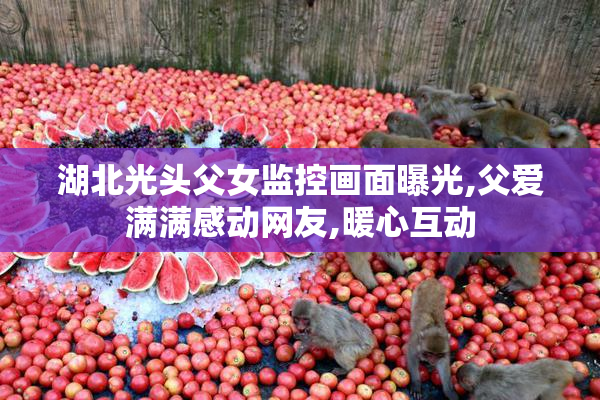 湖北光头父女监控画面曝光,父爱满满感动网友,暖心互动