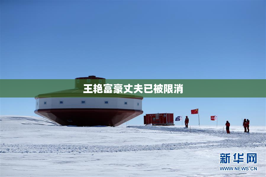 王艳富豪丈夫已被限消