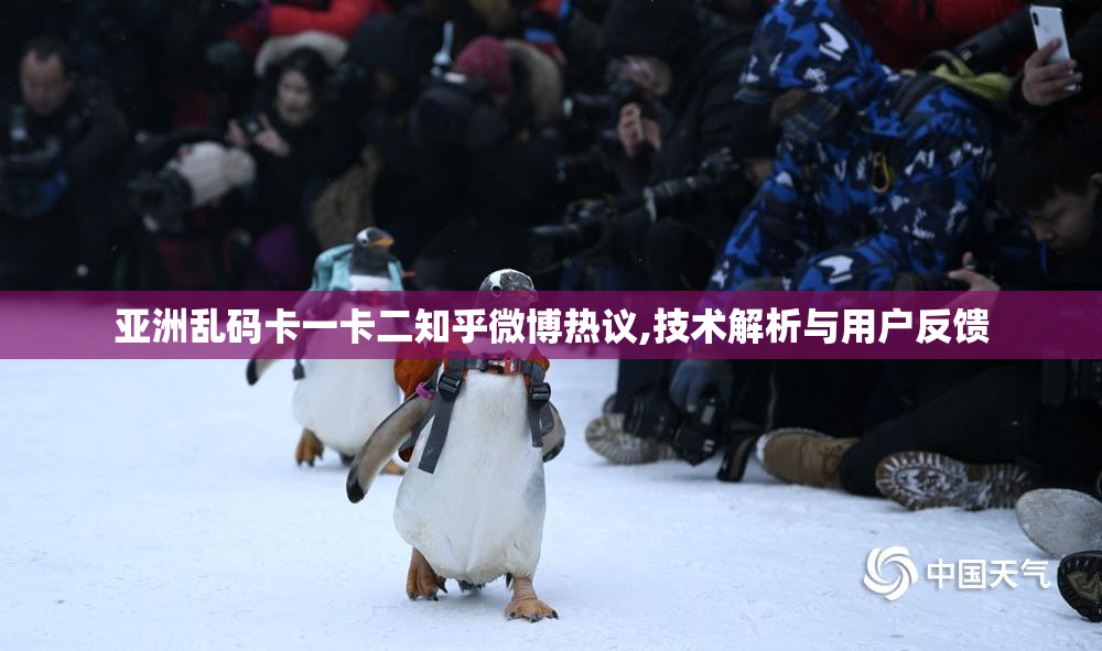 亚洲乱码卡一卡二知乎微博热议,技术解析与用户反馈