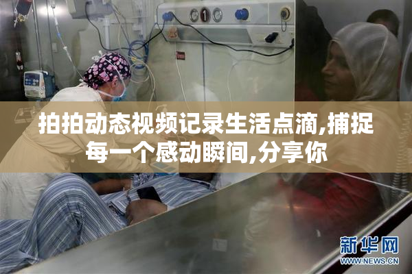 拍拍动态视频记录生活点滴,捕捉每一个感动瞬间,分享你