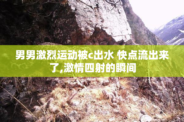 男男激烈运动被c出水 快点流出来了,激情四射的瞬间