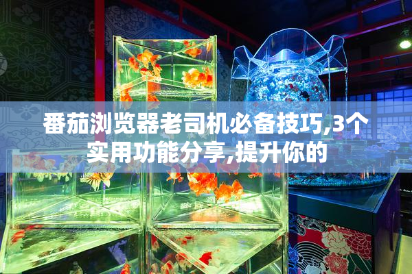 番茄浏览器老司机必备技巧,3个实用功能分享,提升你的